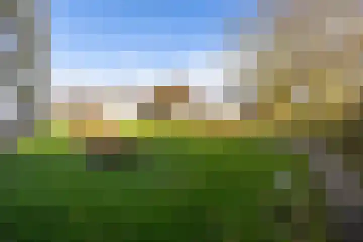 Frankrijkerlaan 2 60 Zuidhorn thumbnail 26