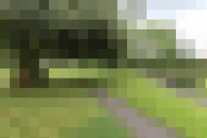 Frankrijkerlaan 2 64 Zuidhorn thumbnail 19
