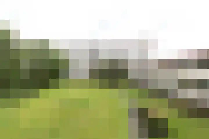 Frankrijkerlaan 2 64 Zuidhorn thumbnail 20