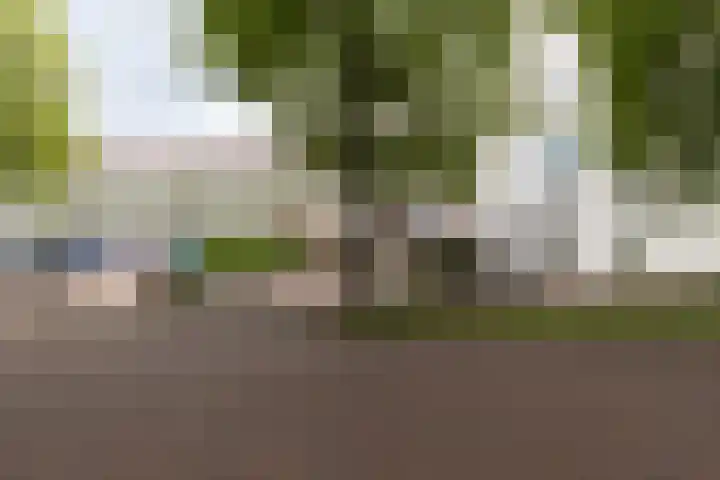 Frankrijkerlaan 2 64 Zuidhorn thumbnail 22