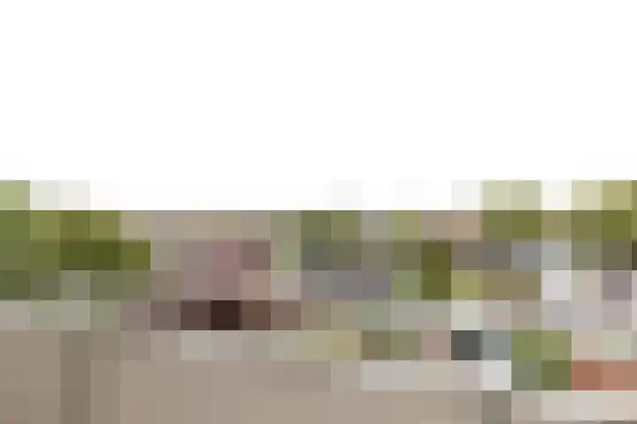 Frankrijkerlaan 2 64 Zuidhorn thumbnail 8