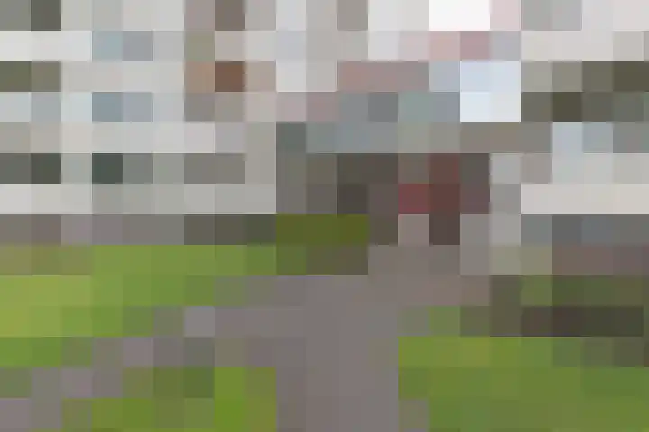 Frankrijkerlaan 2 98 Zuidhorn thumbnail 27