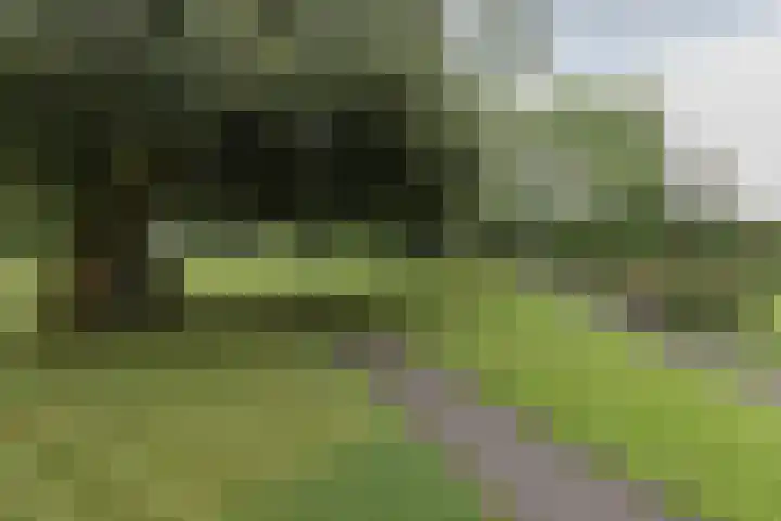 Frankrijkerlaan 2 98 Zuidhorn thumbnail 28