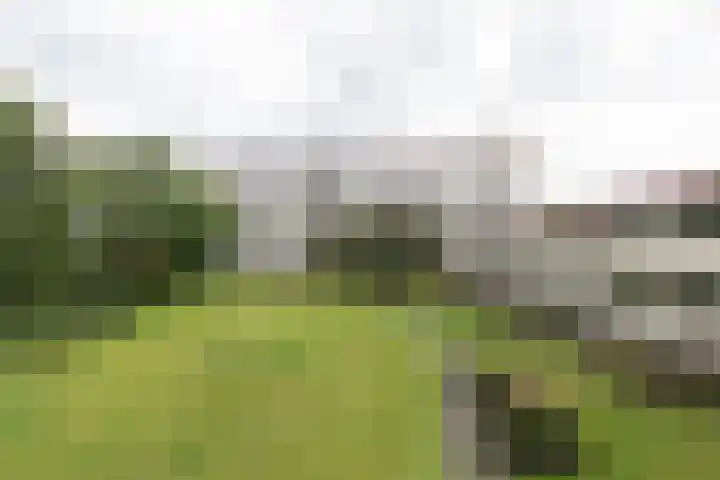 Frankrijkerlaan 2 98 Zuidhorn thumbnail 30