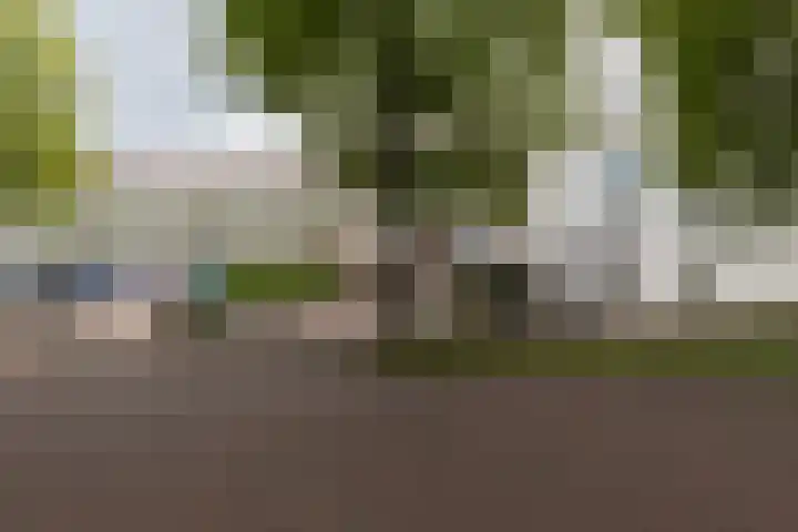 Frankrijkerlaan 2 98 Zuidhorn thumbnail 31