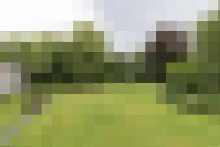 Frankrijkerlaan 2 98 Zuidhorn thumbnail 5