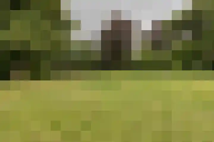 Frankrijkerlaan 2 98 Zuidhorn thumbnail 6