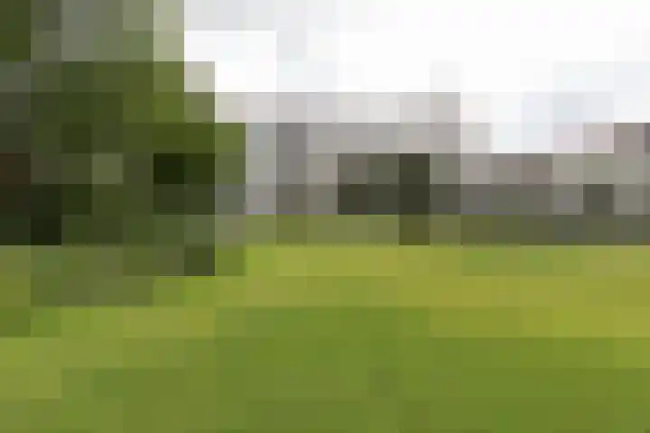 Frankrijkerlaan 2 98 Zuidhorn thumbnail 7