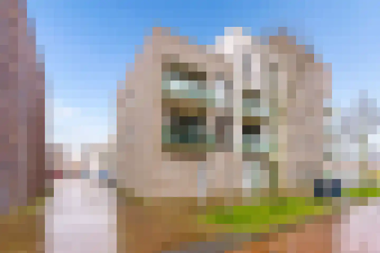 Frankrijkkade 58 Almere thumbnail 34