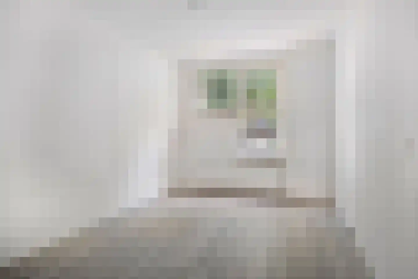 Frankrijklaan 41 Zoetermeer thumbnail 20