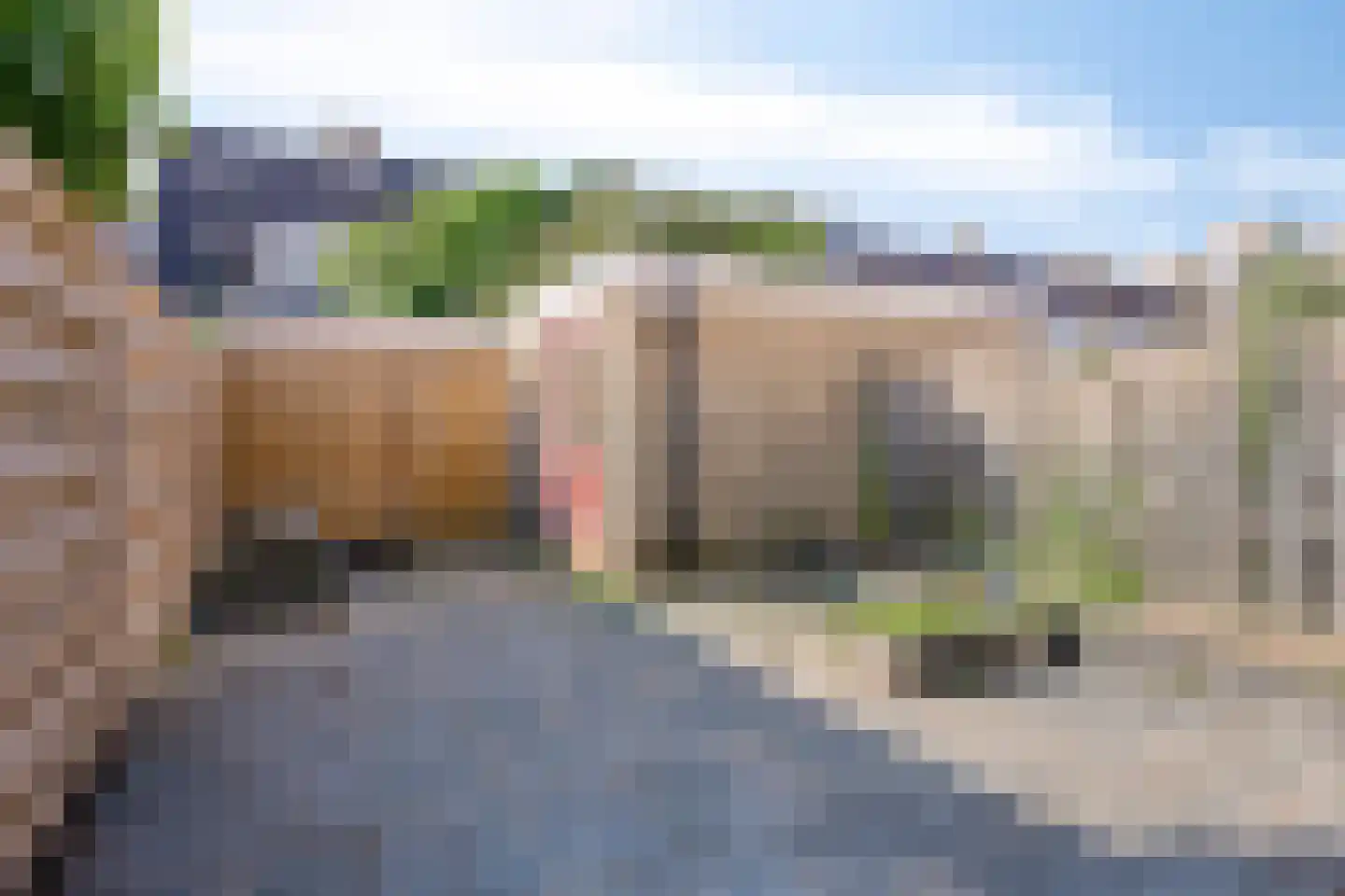 Frankrijklaan 41 Zoetermeer thumbnail 34