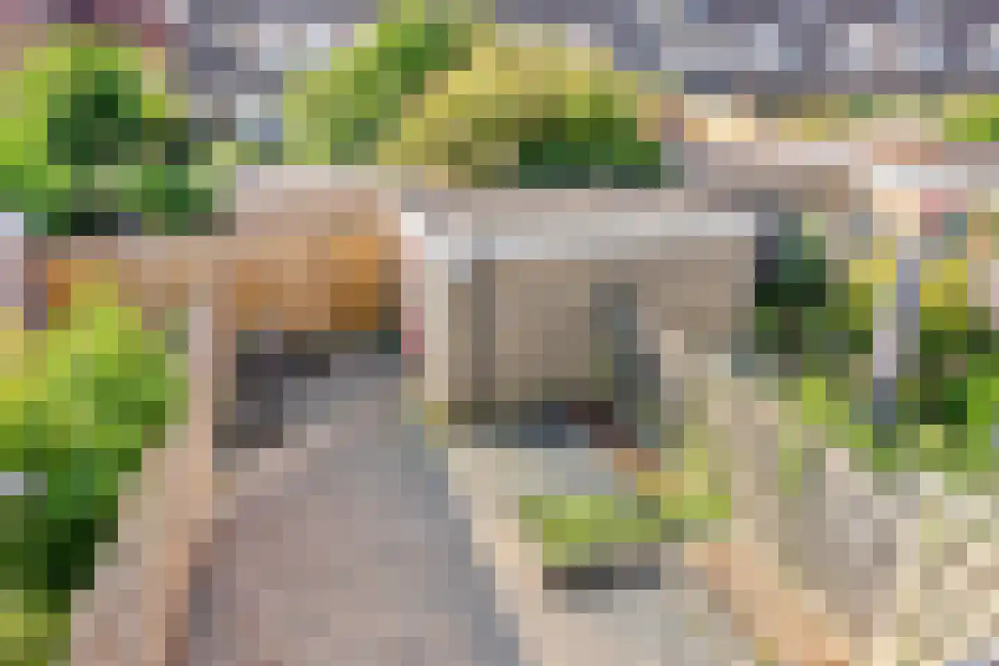 Frankrijklaan 41 Zoetermeer thumbnail 37