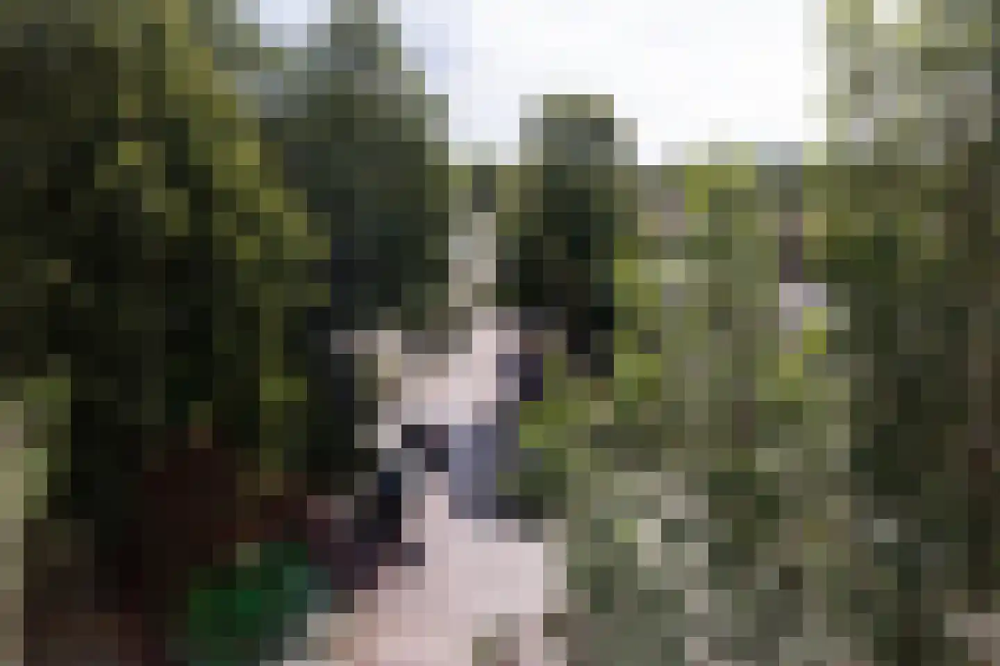 Frankrijklaan 47 Haarlem thumbnail 6