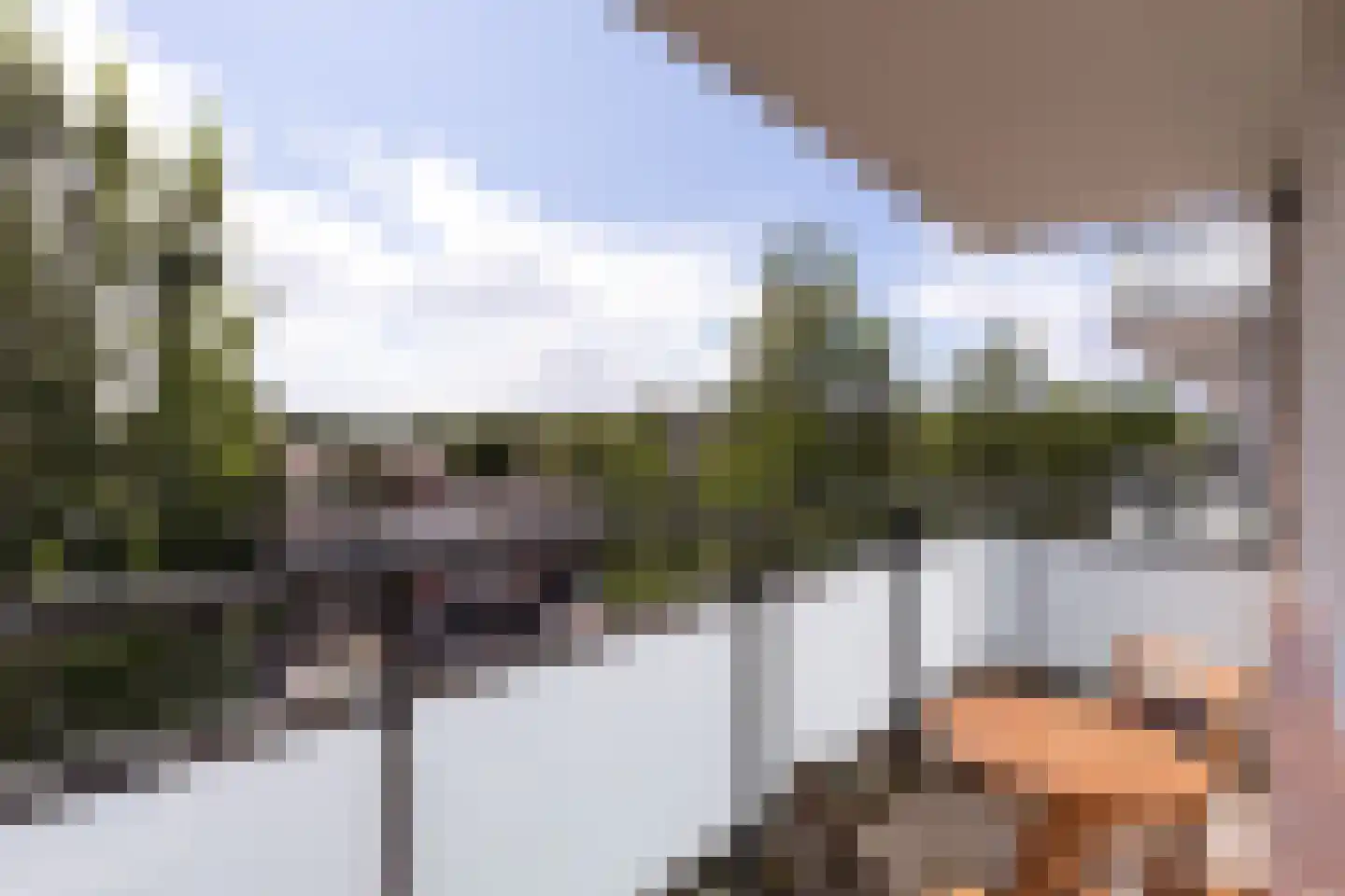 Frankrijklaan 47 Haarlem thumbnail 9