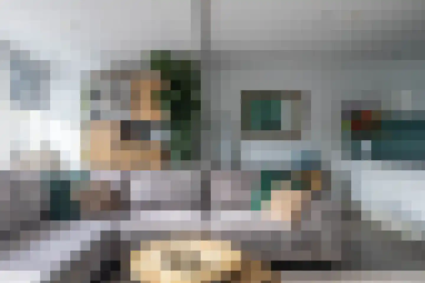 Frankrijklaan 59 Heemskerk thumbnail 7