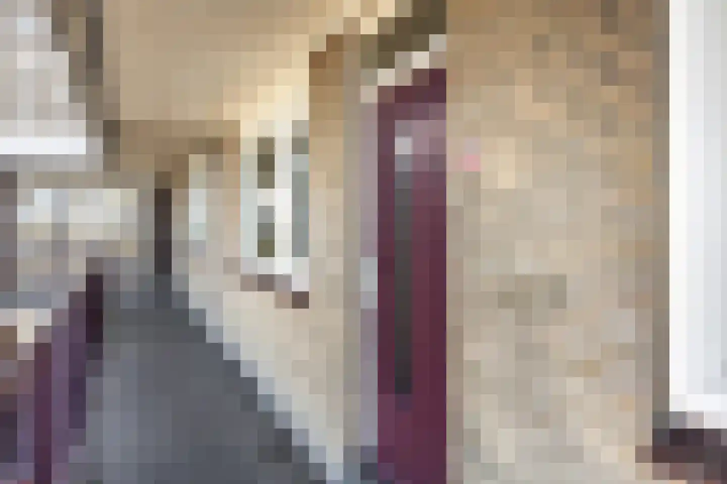 Frankrijklaan 61 Haarlem thumbnail 18