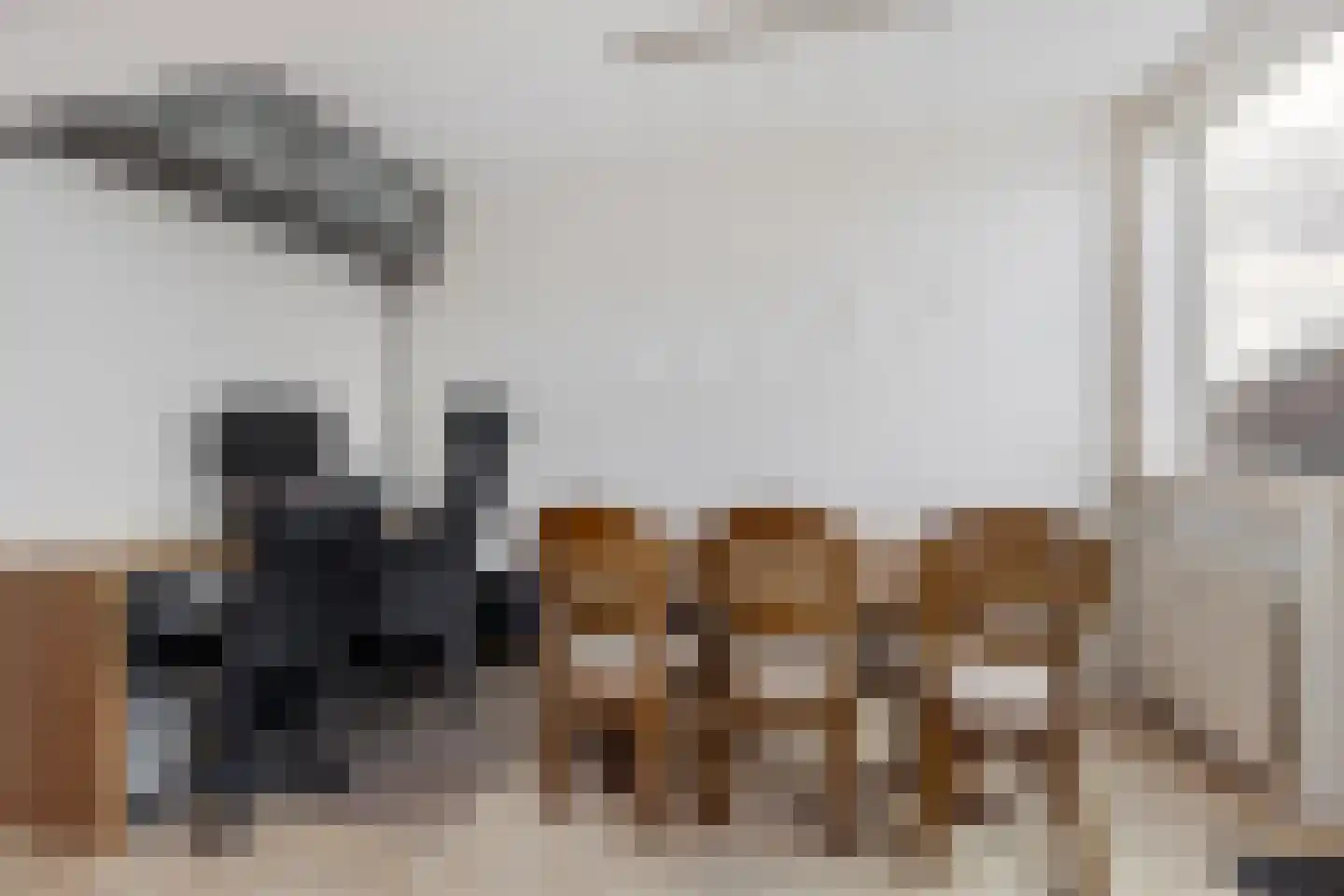 Frankrijklaan 61 Haarlem thumbnail 7