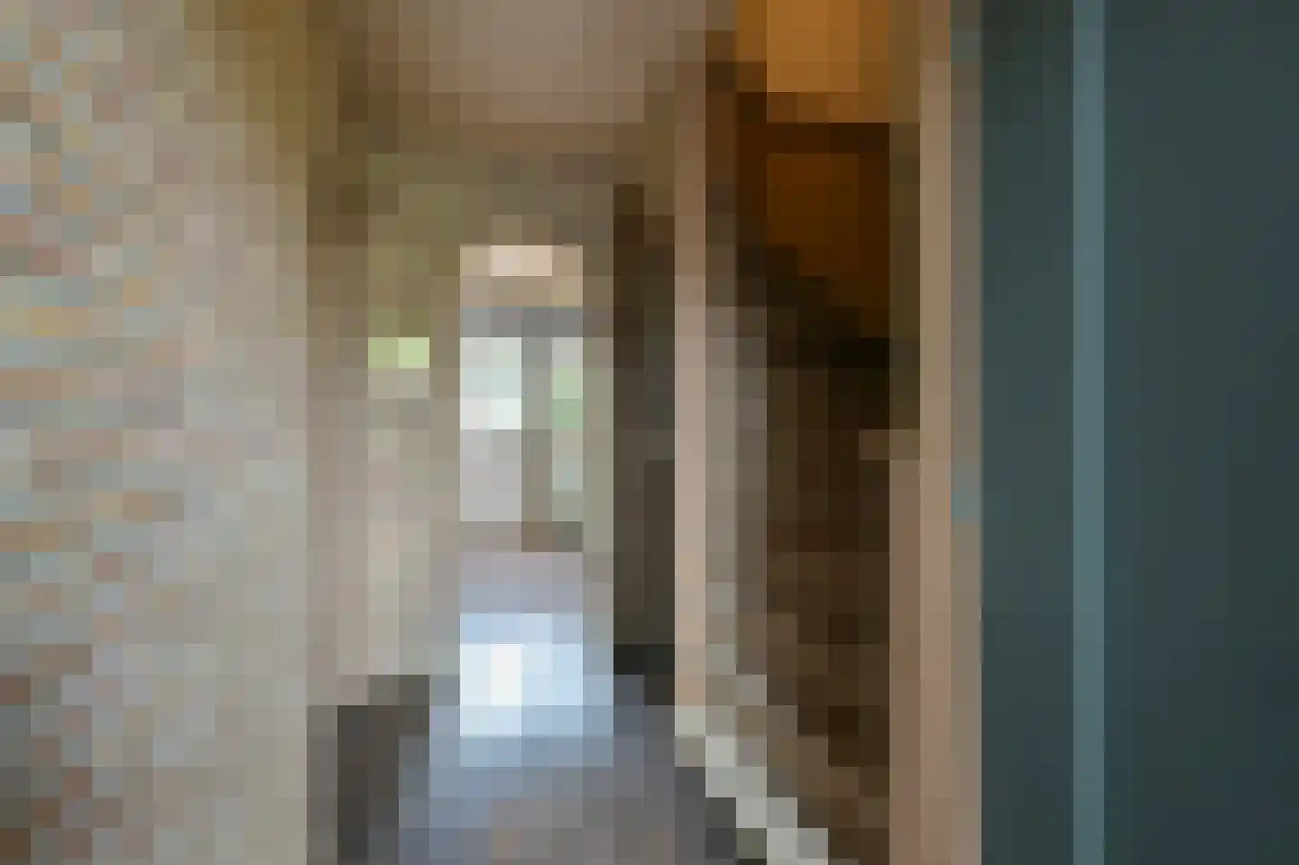 Frankrijklaan 8 Heemskerk thumbnail 12