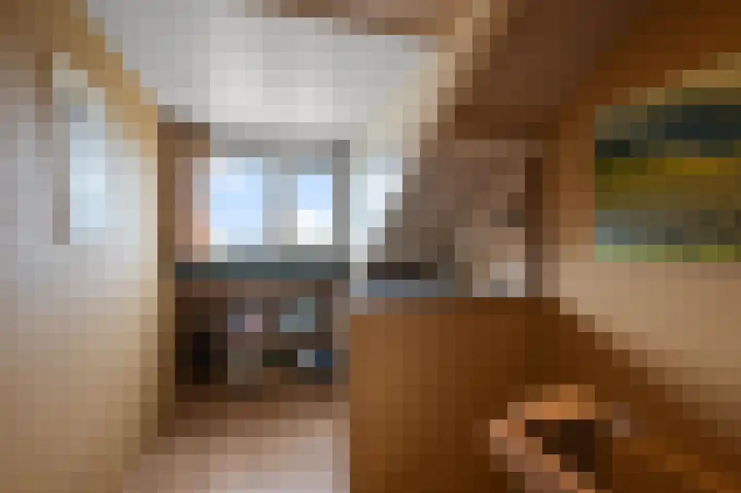 Frankrijklaan 8 Heemskerk thumbnail 37