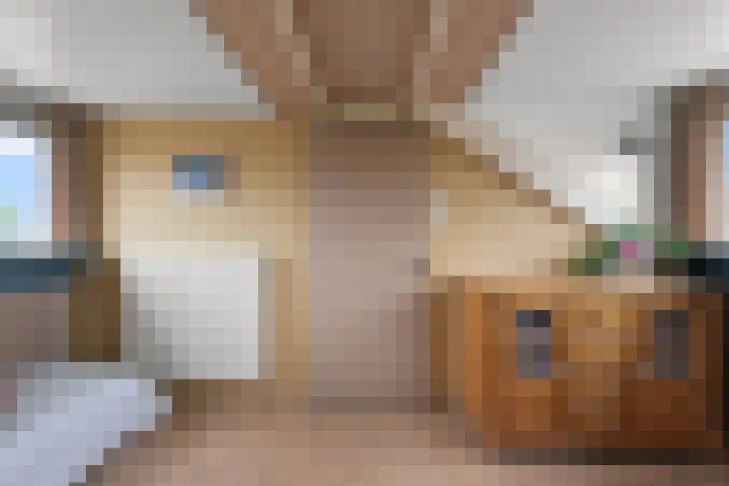 Frankrijklaan 8 Heemskerk thumbnail 38