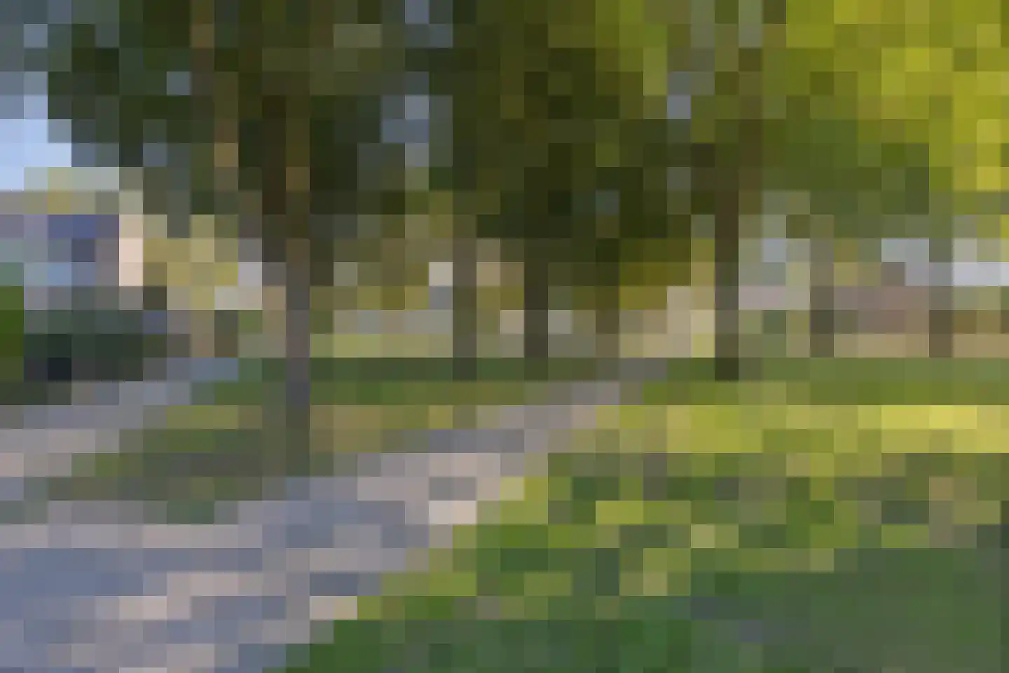 Frankrijkstraat 15 Coevorden thumbnail 39