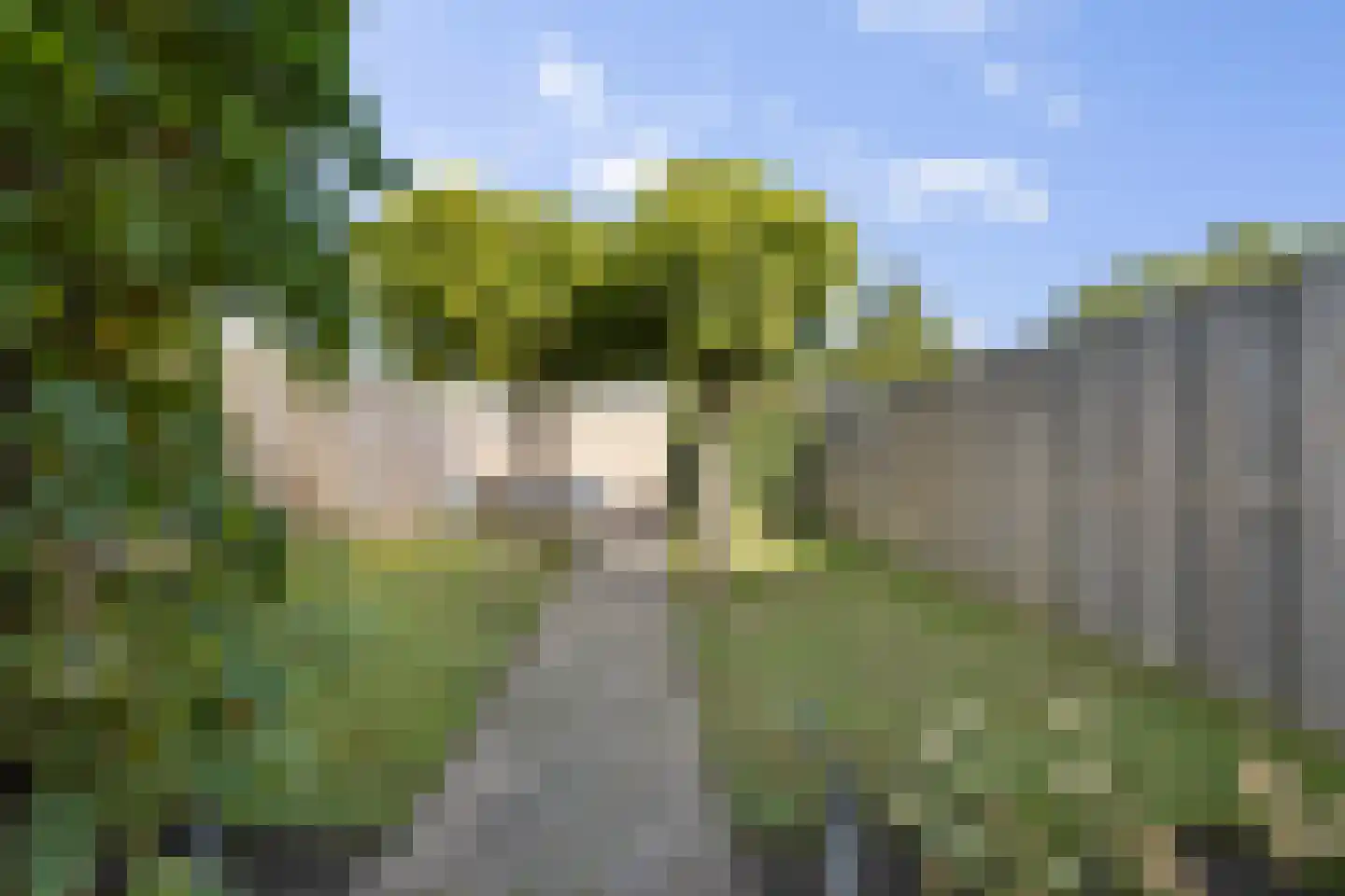 Frankrijkstraat 15 Coevorden thumbnail 5