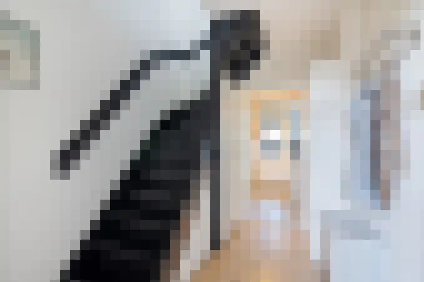 Frankrijkstraat 15 Coevorden thumbnail 8