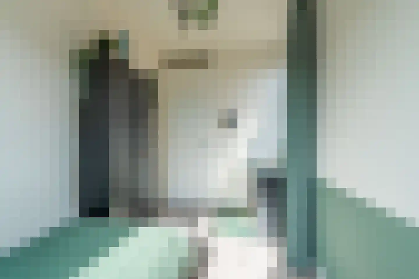 Frankrijkstraat 203 Lent thumbnail 26