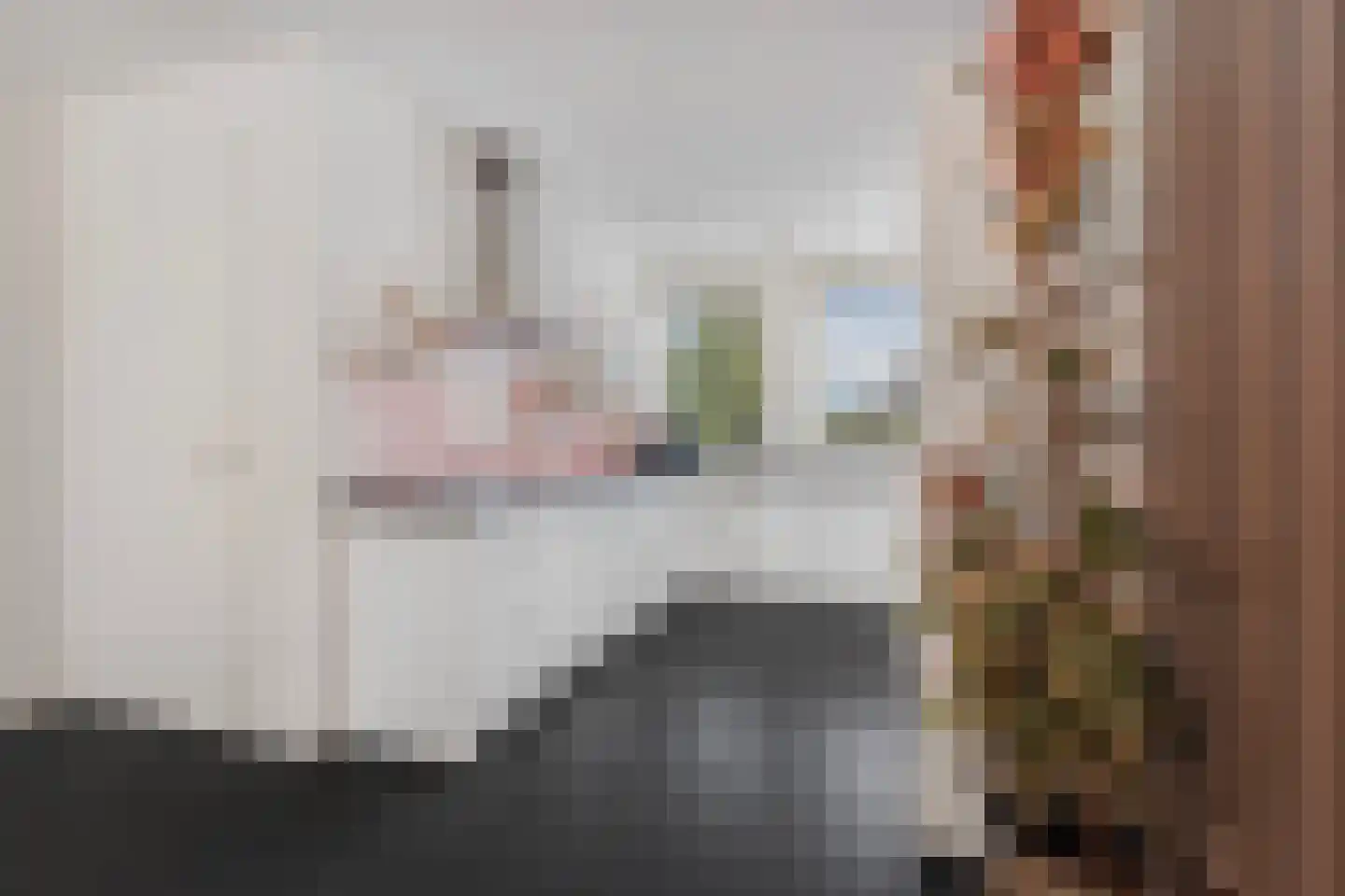 Frankrijkstraat 315 Lent thumbnail 12