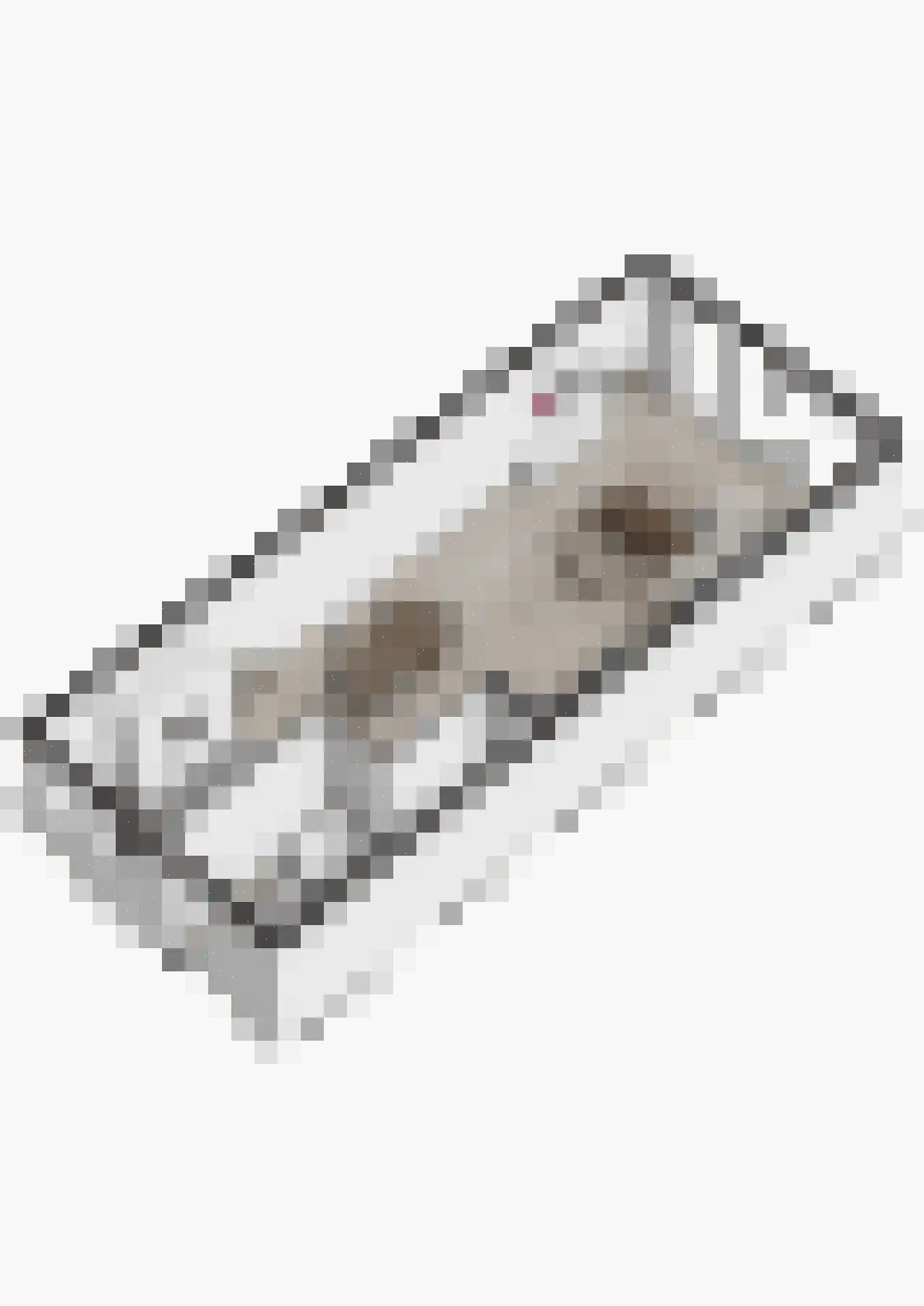 Frankrijkstraat 315 Lent thumbnail 44