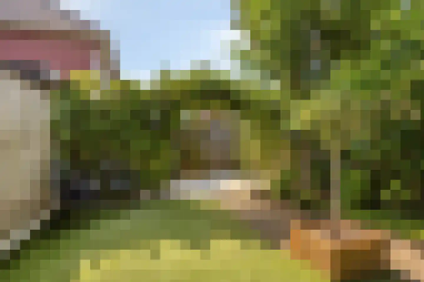 Frankrijkstraat 339 Lent thumbnail 10