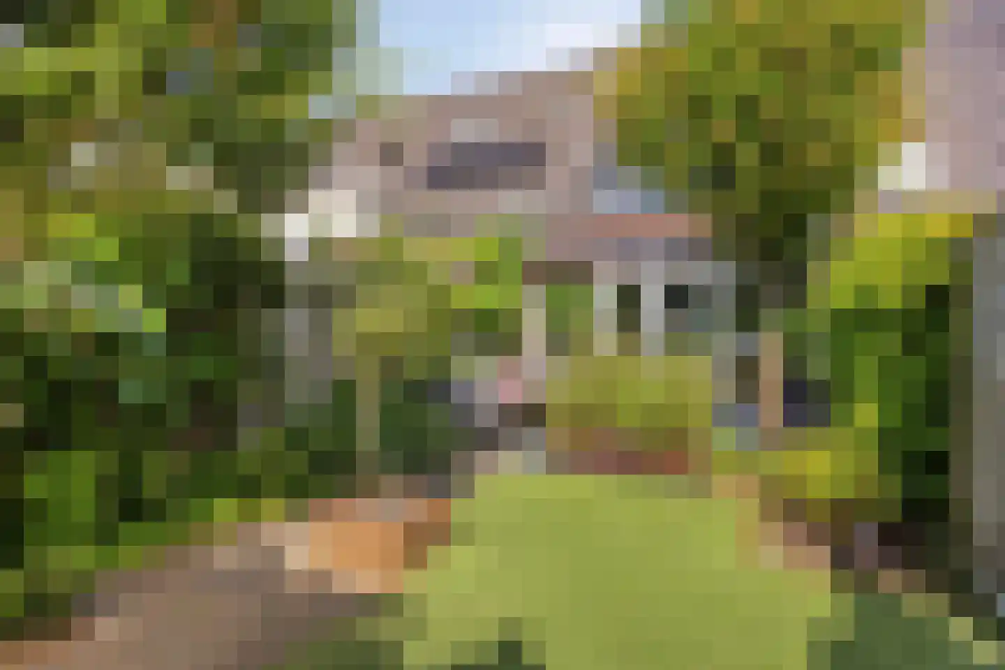 Frankrijkstraat 339 Lent thumbnail 13