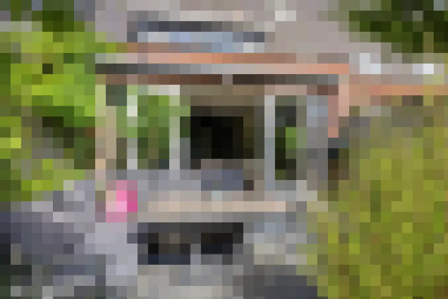 Frankrijkstraat 339 Lent thumbnail 15