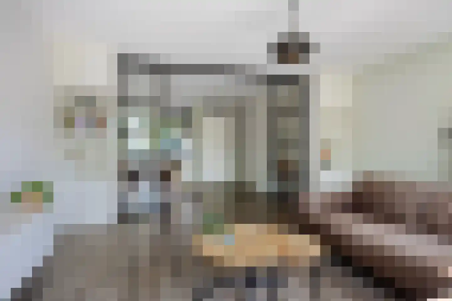 Frankrijkstraat 339 Lent thumbnail 17