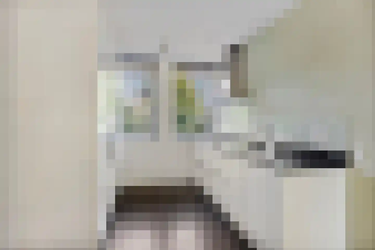 Frankrijkstraat 339 Lent thumbnail 22