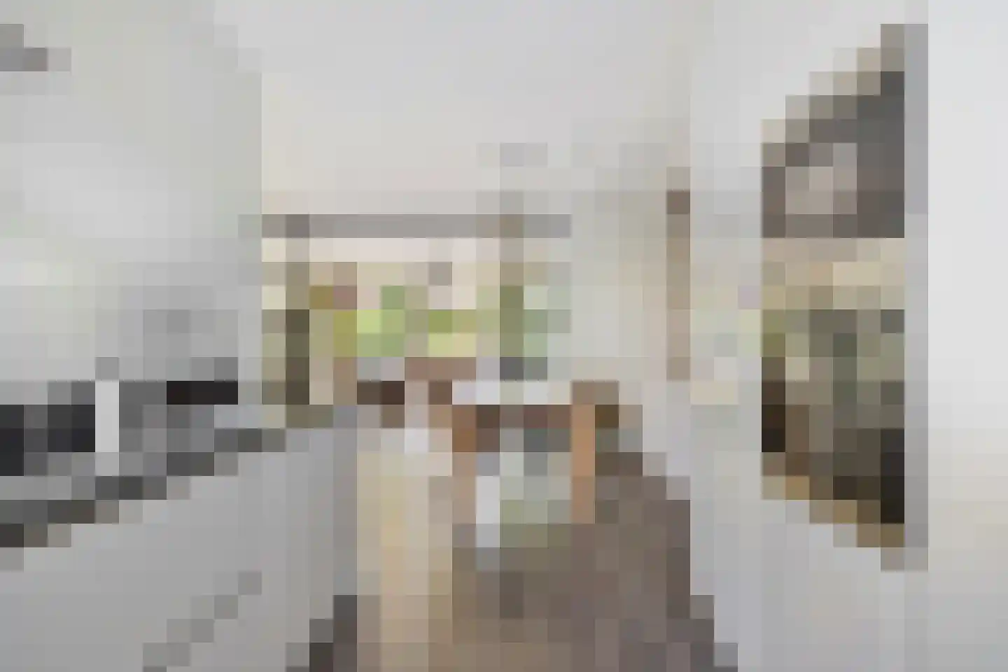 Frankrijkstraat 339 Lent thumbnail 24