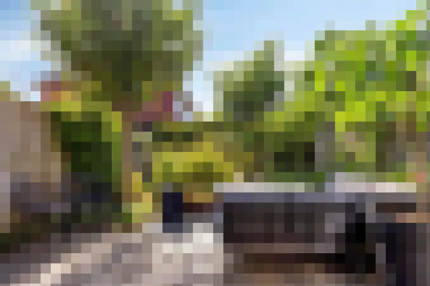 Frankrijkstraat 339 Lent thumbnail 7