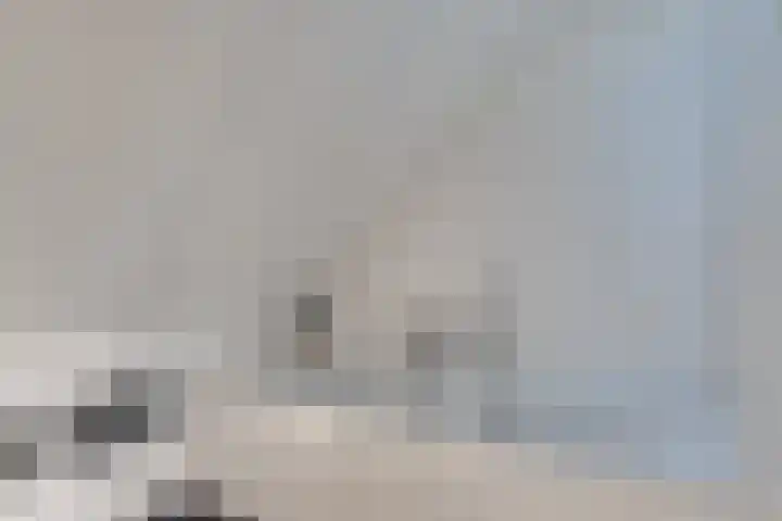 Frankrijkstraat 37 Eindhoven thumbnail 33