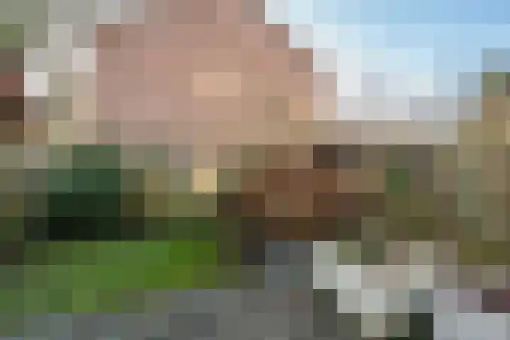 Frankrijkstraat 37 Eindhoven thumbnail 37