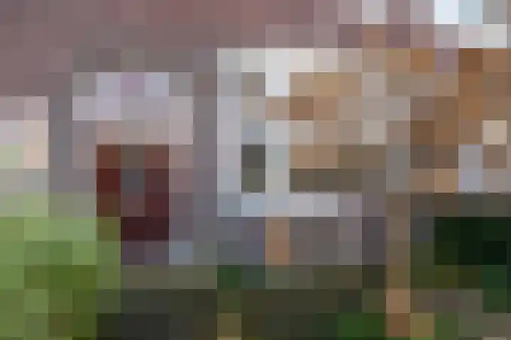 Frankrijkstraat 37 Eindhoven thumbnail 5