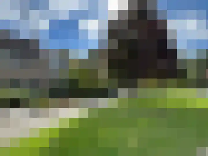 Frankrijkstraat 4 Coevorden thumbnail 10
