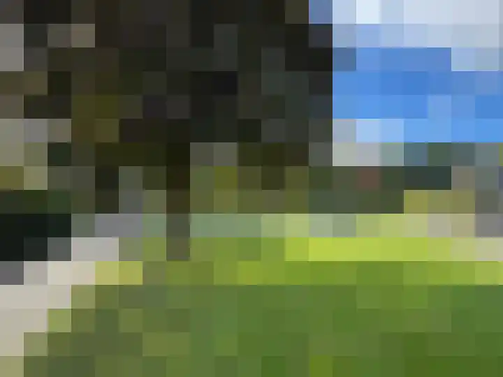 Frankrijkstraat 4 Coevorden thumbnail 11