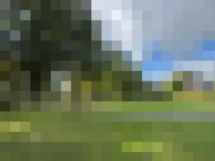 Frankrijkstraat 4 Coevorden thumbnail 12