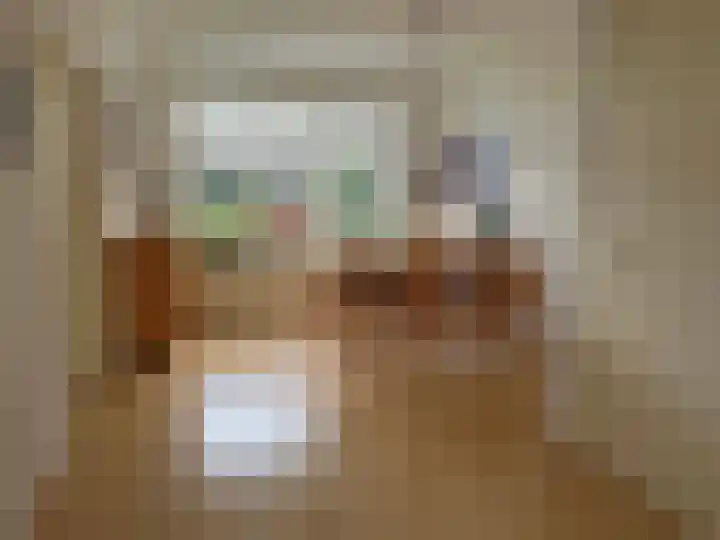 Frankrijkstraat 4 Coevorden thumbnail 17