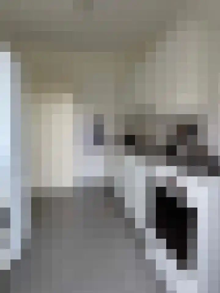 Frankrijkstraat 4 Coevorden thumbnail 18