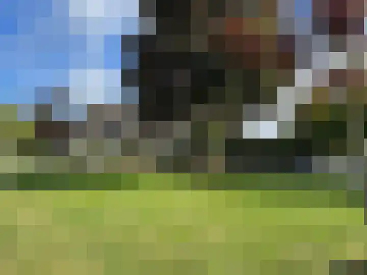 Frankrijkstraat 4 Coevorden thumbnail 8
