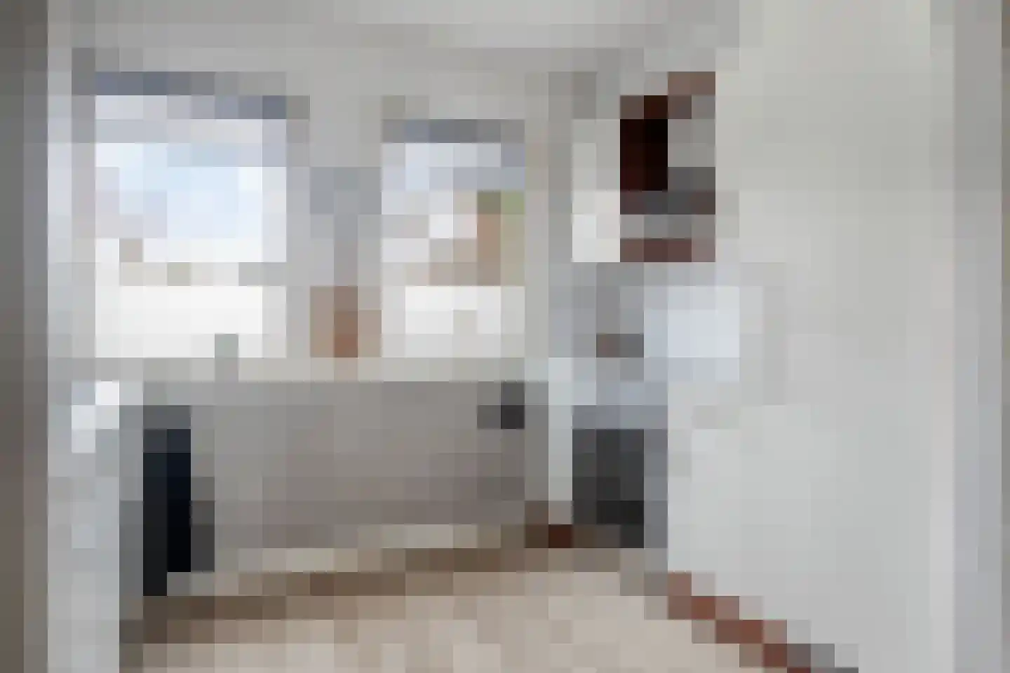Frankrijkstraat 54 Drunen thumbnail 13