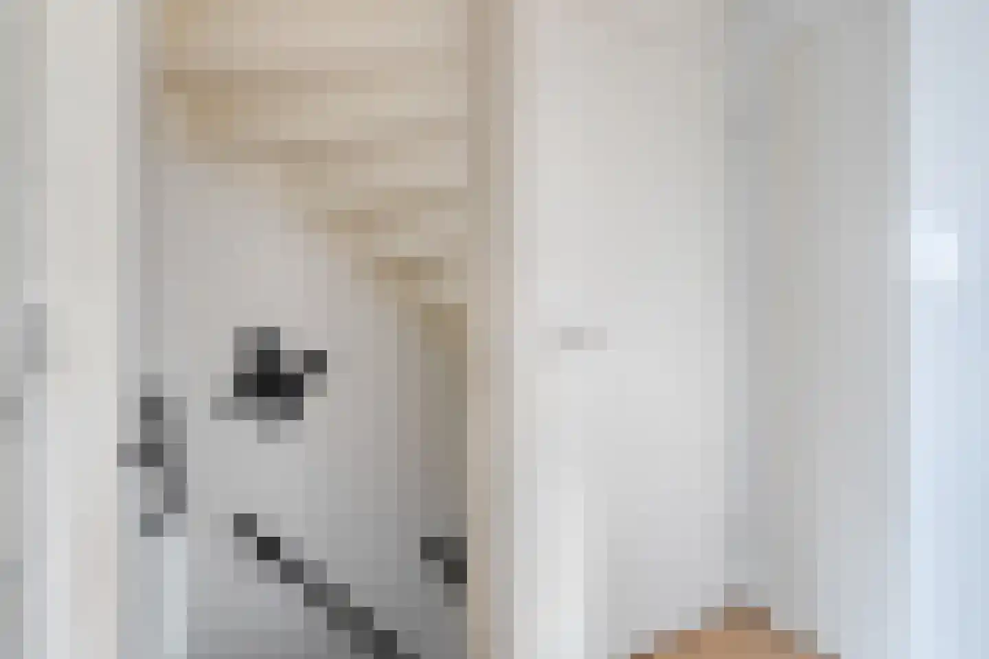 Frankrijkstraat 54 Drunen thumbnail 16