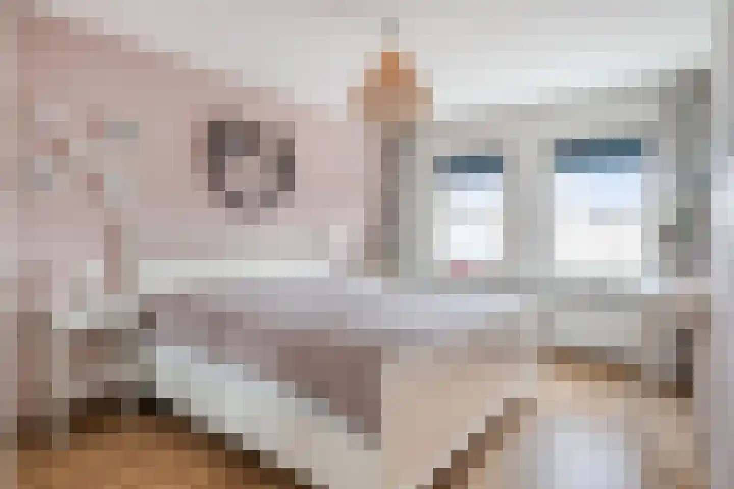 Frankrijkstraat 54 Drunen thumbnail 17