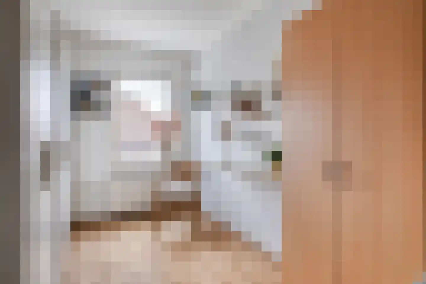 Frankrijkstraat 54 Drunen thumbnail 19